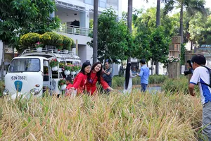 Cuộc thi ảnh ‘Khoảnh khắc Hội hoa xuân Phú Mỹ Hưng’