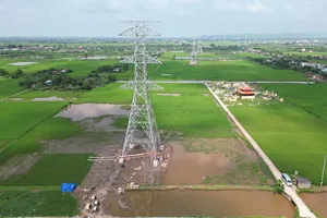 EVNNPT cơ bản hoàn thành dựng cột Dự án đường dây 500kV mạch 3, đoạn nhiệt điện Nam Định I – Thanh Hóa