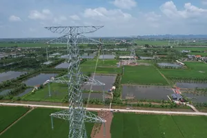 Đoàn kết, quyết tâm hoàn thành Dự án đường dây 500kV mạch 3 đúng tiến độ