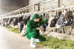 Hệ sinh thái ‘Net Zero’ đã vượt ra ngoài những trang trại xanh của Vinamilk