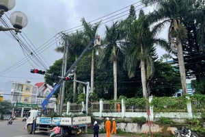 PC Gia Lai: Đảm bảo an toàn điện trong mùa mưa bão năm 2024