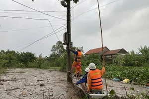 EVNCPC chủ động ứng phó với thiên tai năm 2024