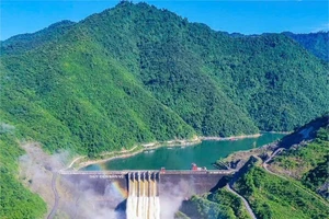 Tháng 8, EVNGENCO1 sản xuất điện vượt kế hoạch được giao