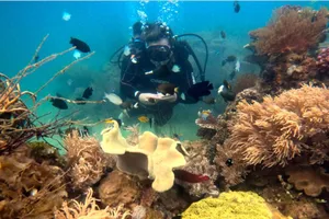 Điều gì giúp Nha Trang trở thành thiên đường nghỉ dưỡng được yêu thích nhất Châu Á?