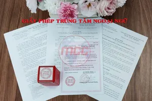 Hành trình khởi nghiệp trung tâm ngoại ngữ: Từ khó khăn đến thành công