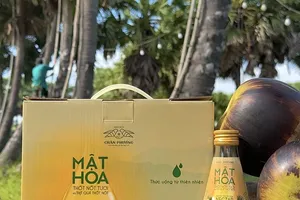 Nỗ lực duy trì nghề truyền thống lấy mật hoa thốt nốt của doanh nghiệp bản địa tại An Giang