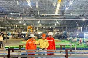 Điện lực TP.HCM đảm bảo điện trong mùa cao điểm cuối năm