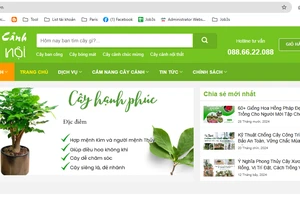 Cập nhật tên miền mới từ Caycanhhanoi.vn sang Caycanhhanoi.net.vn