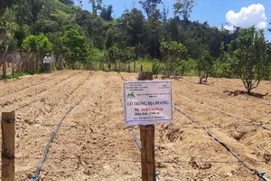 Bình Định đưa huyện An Lão thoát khỏi tình trạng huyện nghèo, đặc biệt khó khăn