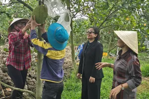 Nông dân Thủ Thừa thay đổi cuộc sống nhờ Quỹ hỗ trợ cộng đồng David Dương