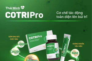 Lá lốt – Thảo dược dân gian hỗ trợ cải thiện bệnh trĩ
