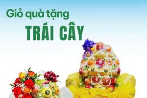 Citi Fruit – Thương hiệu giỏ trái cây nhập khẩu sang trọng tại TP.HCM