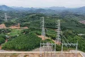 Công ty Truyền tải điện 1 đảm bảo cung cấp điện an toàn, tin cậy