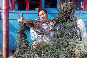 Khẩn trương kiểm tra 'bùn lạ' tấn công lưới ngư dân