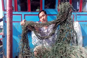 'Bùn lạ' tấn công lưới ngư dân miền Trung