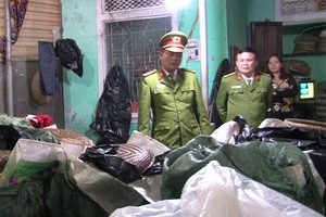 Bắt giữ 8 tạ giá đỗ tẩm hóa chất tăng trưởng