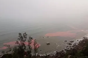 Huế: Dải nước màu đỏ xuất hiện ở đầm Lập An