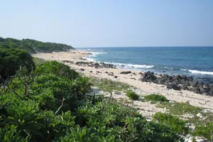 Đi tàu cao tốc miễn phí ra đảo Cồn Cỏ 