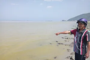 Nguyên nhân nước biển ở Huế xuất hiện màu vàng