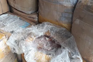 Bắt xe tải chở gần 2,5 tấn nội tạng đã bốc mùi