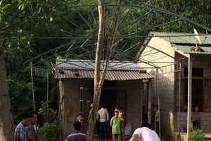 Bị sét đánh chết khi vừa dùng điện thoại vừa sạc pin 