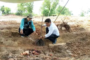 Mộ vợ vua Tự Đức bị san bằng: Đưa ra phương án di dời