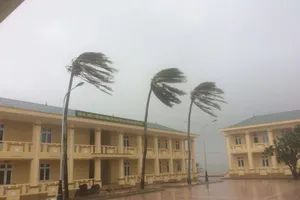 Bão số 4 đổ bộ vào Quảng Bình, Quảng Trị