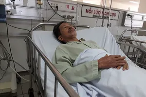 Tò mò đi xem bắt rắn, bị rắn hổ chúa cắn nguy kịch