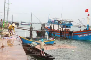 Miền Trung: Tàu vào bờ, dân đốn cây đón bão số 10