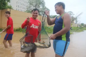 Sau bão số 10, dân Quảng Bình quăng chài giữa phố 