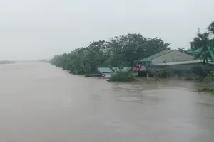 Thừa Thiên-Huế: 1 người bị nước lũ cuốn mất tích