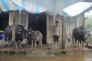 Về vùng bị chia cắt do lũ ở Thừa Thiên - Huế