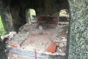 Lăng mộ mẹ vua Dục Đức bị đào phá