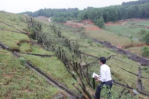 Đề nghị công bố tình trạng khẩn cấp hồ Triệu Thượng 2