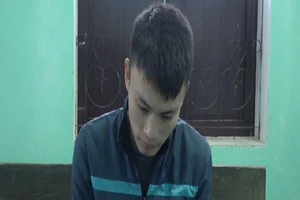 2 thanh niên nghiện ma túy trộm trên nửa tỉ đồng