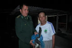 Rùa biển 10 kg mắc lưới được thả về đại dương trong đêm