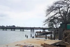 Lát gỗ lim đường ven sông Hương, ban quản lý nói gì?