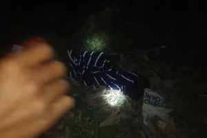 Bé gái 11 tuổi mất tích bí ẩn khi đi chăn trâu