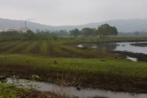 Khai trừ Đảng chủ tịch xã chiếm đoạt đất chia cho người thân