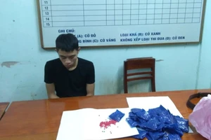 Thuê taxi chở 8.000 viên ma túy