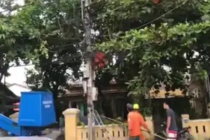 Điện lực Huế thông tin việc công nhân tử vong khi sửa điện