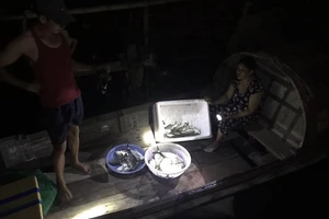 Cá chết hàng loạt nghi nhiễm độc khí gas