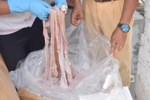 Bắt giữ 1,6 tấn nội tạng động vật không rõ nguồn gốc