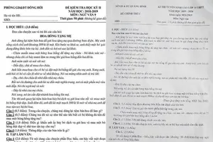 Thi lại vì đề văn vào lớp 10 giống hệt đề thi học kỳ lớp 9