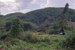 Chủ tịch xã bị xử phạt vì khai thác trộm khoáng sản