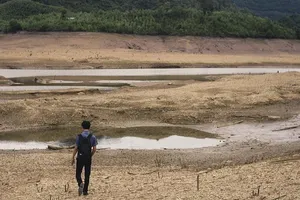 Nguy cơ mất mùa vì hạn hán ở miền Trung