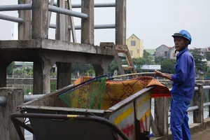 Cá chết trắng hồ giữa trung tâm TP Đông Hà