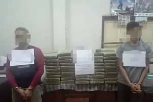 Bắt 120.000 viên ma túy tổng hợp, 202 bánh cần sa