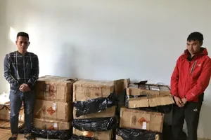 Bắt hai người chở hơn 300 kg pháo
