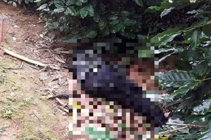 Vụ 3 mẹ con thương vong: Phát hiện thi thể nghi phạm